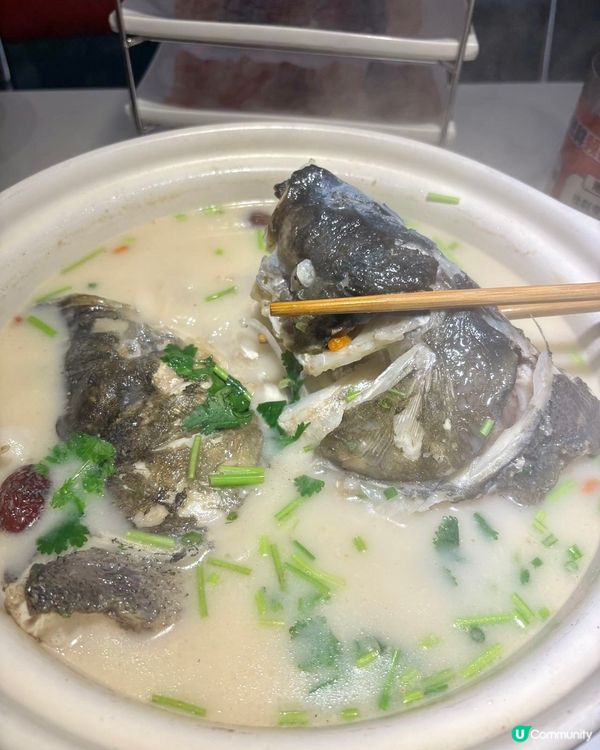 鵬嫂漁記！一魚多食胖頭魚鍋🤤！