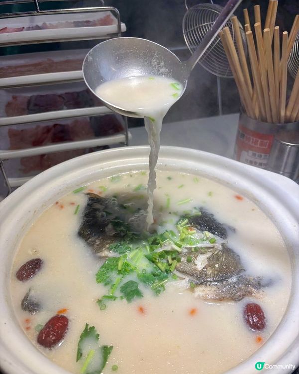 鵬嫂漁記！一魚多食胖頭魚鍋🤤！