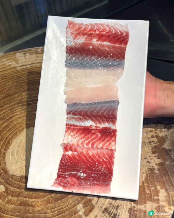 鵬嫂漁記！一魚多食胖頭魚鍋🤤！