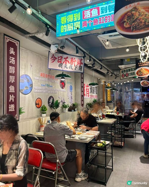 鵬嫂漁記！一魚多食胖頭魚鍋🤤！