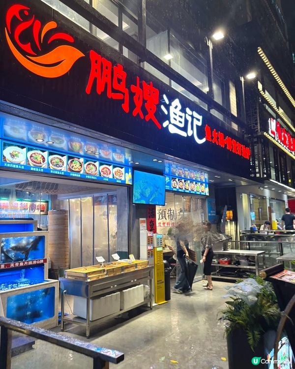 鵬嫂漁記！一魚多食胖頭魚鍋🤤！