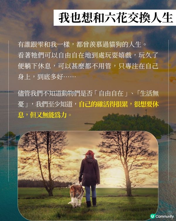 活著先係最難！📚 珍惜當下！ 🍋 #小川糸 #安寧治療