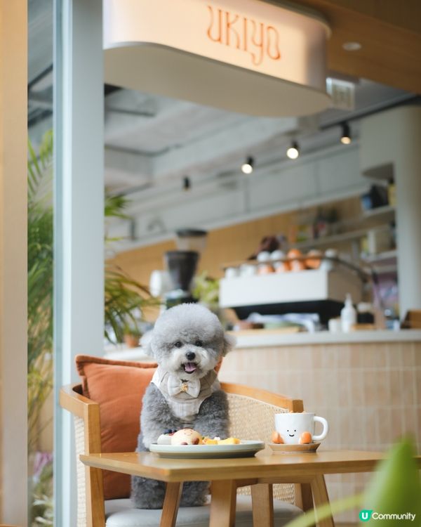 Coffee☕️jelly cat🐱Jelly Jacky🐶