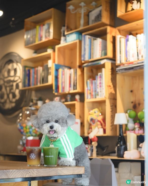 Pet Friendly Cafe ~ Sow Maid☕️