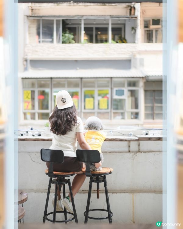 Pet Friendly Cafe ~ Sow Maid☕️