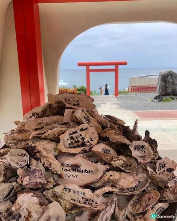 環遊日本🇯🇵｜指宿伊布打卡一日之旅📷