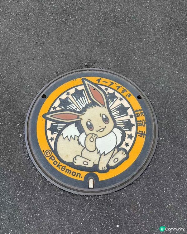 環遊日本🇯🇵｜指宿伊布打卡一日之旅📷