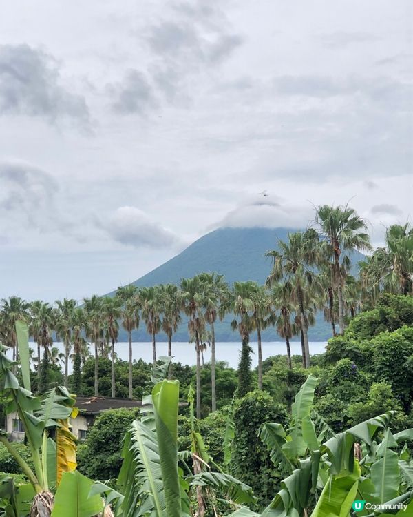環遊日本🇯🇵｜指宿伊布打卡一日之旅📷