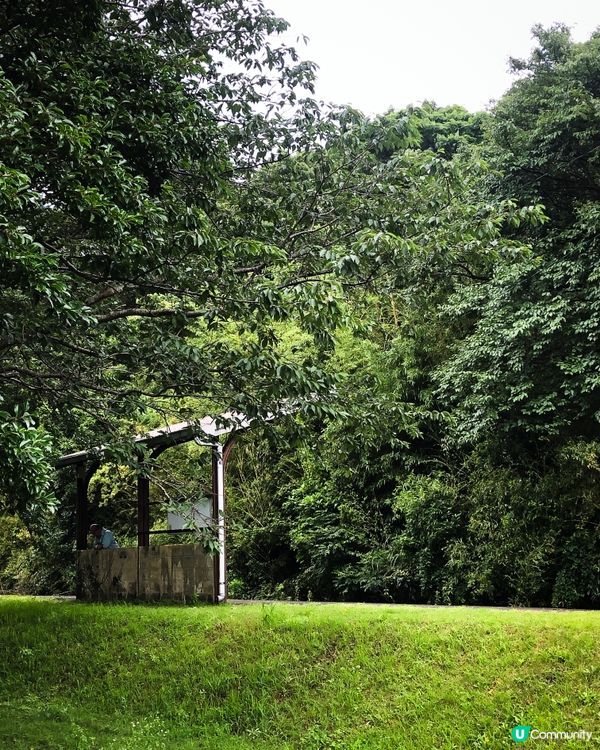 環遊日本🇯🇵｜指宿伊布打卡一日之旅📷