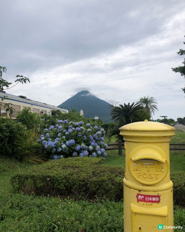 環遊日本🇯🇵｜指宿伊布打卡一日之旅📷