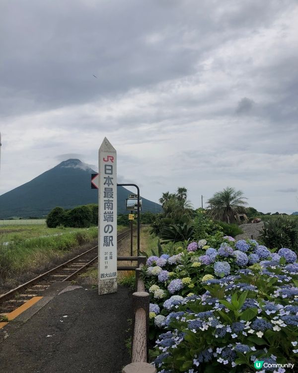 環遊日本🇯🇵｜指宿伊布打卡一日之旅📷