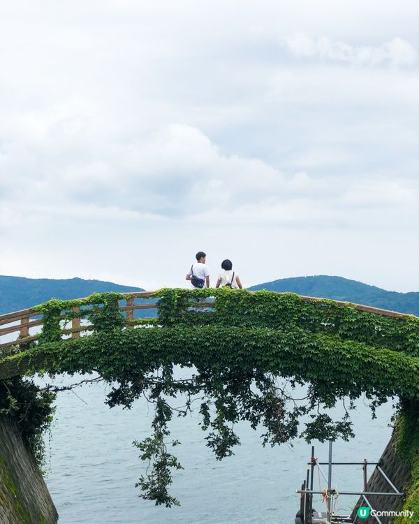 環遊日本🇯🇵｜指宿伊布打卡一日之旅📷