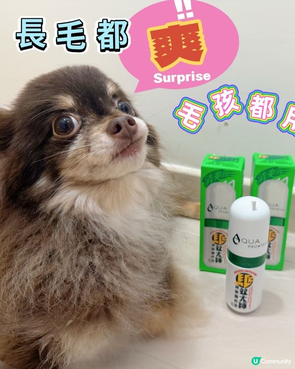 驅蚊大師，全家清爽過夏天！☀️👶🐶