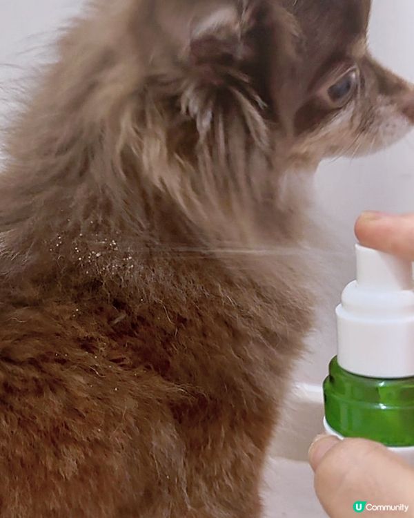 驅蚊大師，全家清爽過夏天！☀️👶🐶