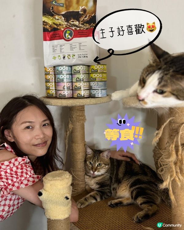 貓貓試食專員🐱