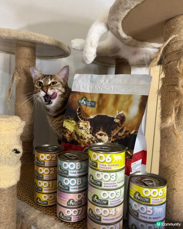 貓貓試食專員🐱