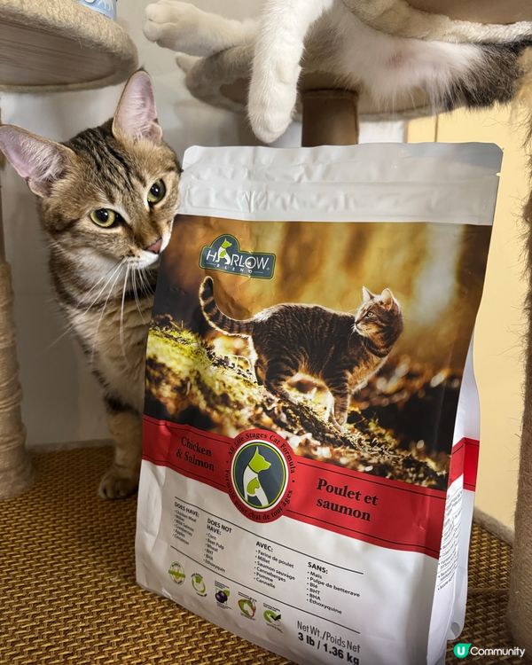 貓貓試食專員🐱