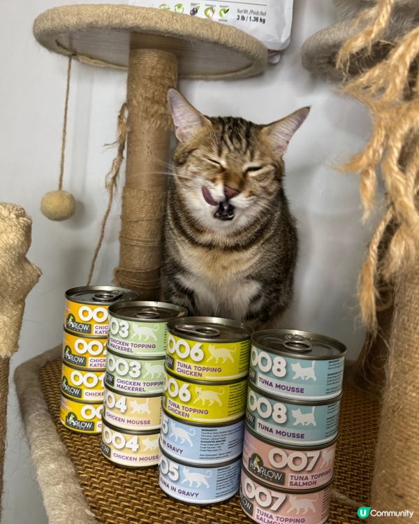 貓貓試食專員🐱