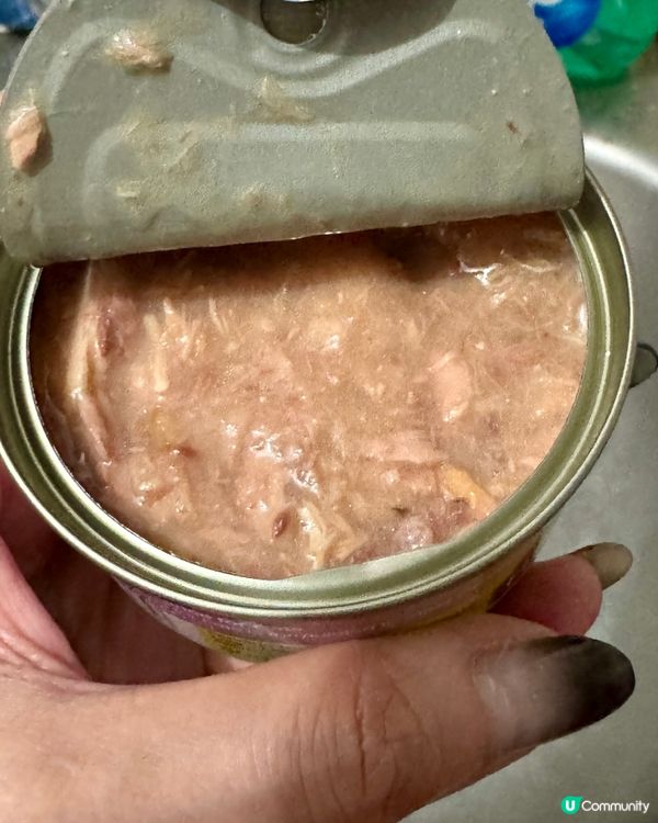 貓貓試食專員🐱