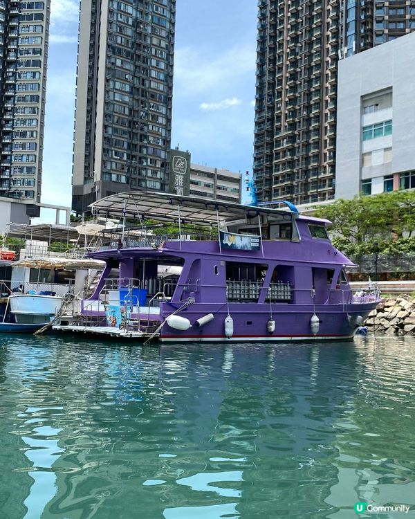 鯉魚門深度1天遊