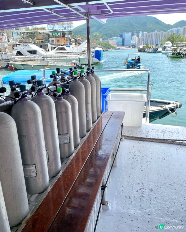 鯉魚門深度1天遊