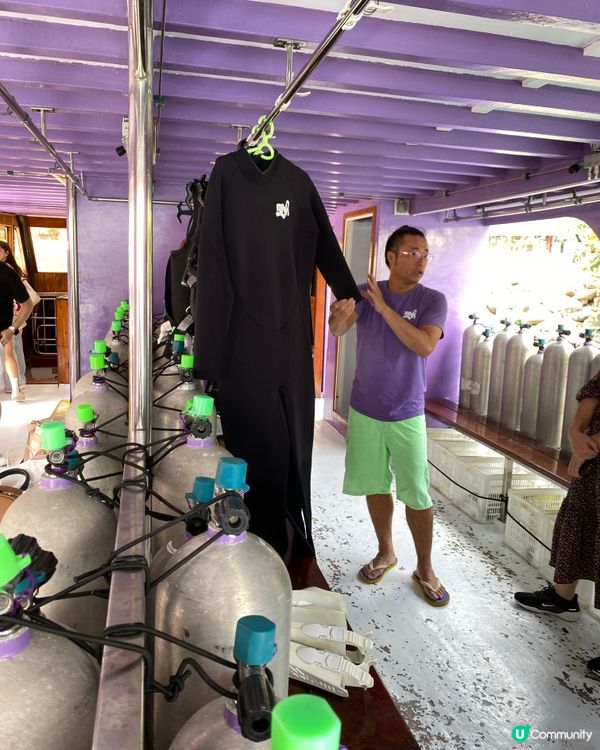 鯉魚門深度1天遊