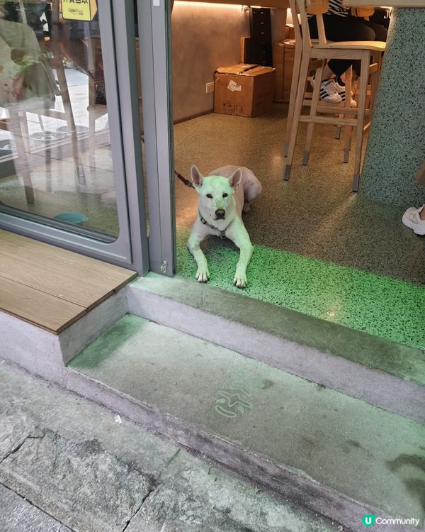 氮氣咖啡飲過未？