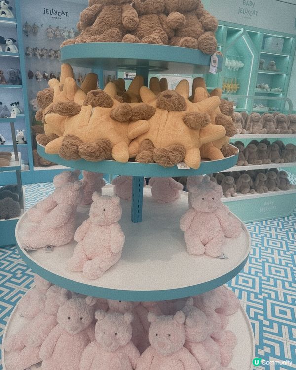 Jelly cat 新鋪開張啦 