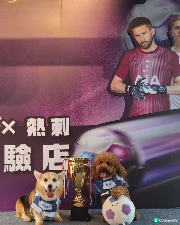 熱刺扭蛋機嚟啦！球迷必搶！⚽️🎁