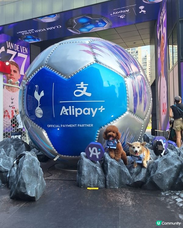 熱刺扭蛋機嚟啦！球迷必搶！⚽️🎁