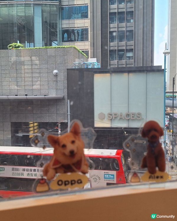 皇牌燒春雞🐔！外賣自取😋！即叫即焗！