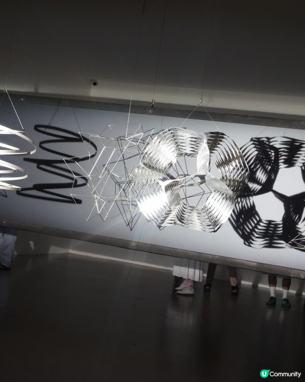 台北美術館打卡！奧拉弗展超正🤩 #思思賢嘆世界