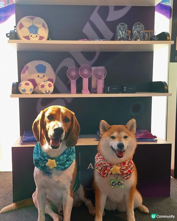 AIRSIDE 與你燃燒足球熱情