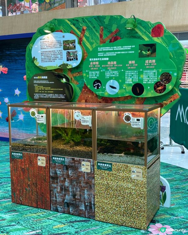 新港城中心打造「夏日童趣綻放之旅」