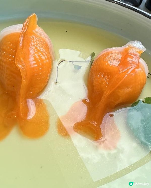 自己人GAGINANG|超越自己賣相