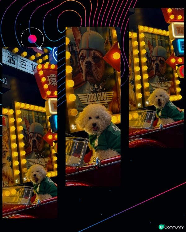 分享打卡好去處