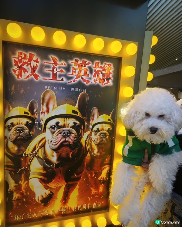 分享打卡好去處