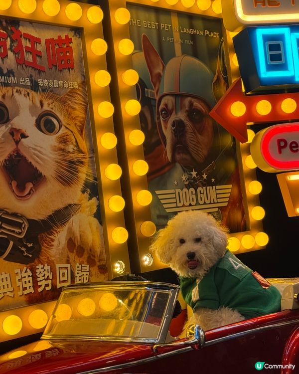 分享打卡好去處