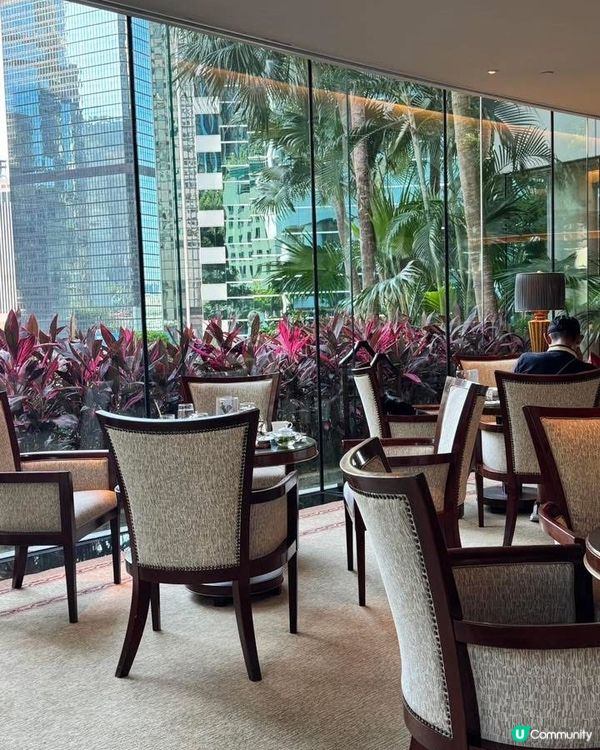 薄荷朱古力控必衝！港麗下午茶🤤🍫