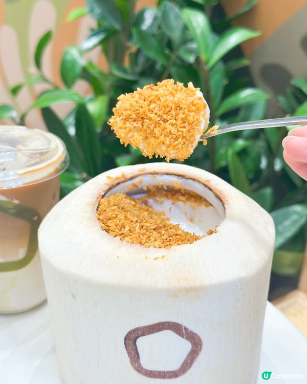 茶大椰2週年🎉新蒲崗新店開張！免費飲茶！ 🥳