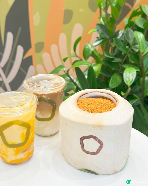 茶大椰2週年🎉新蒲崗新店開張！免費飲茶！ 🥳