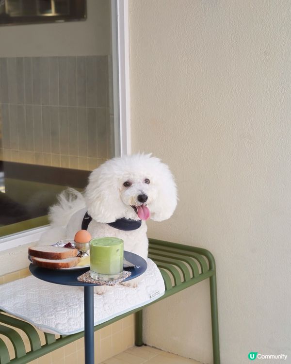 荷李活道新店！肉桂卷+吉士包🤤 奴才必試！🍞