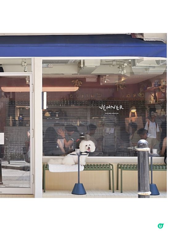 荷李活道新店！肉桂卷+吉士包🤤 奴才必試！🍞