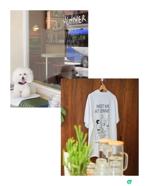 荷李活道新店！肉桂卷+吉士包🤤 奴才必試！🍞