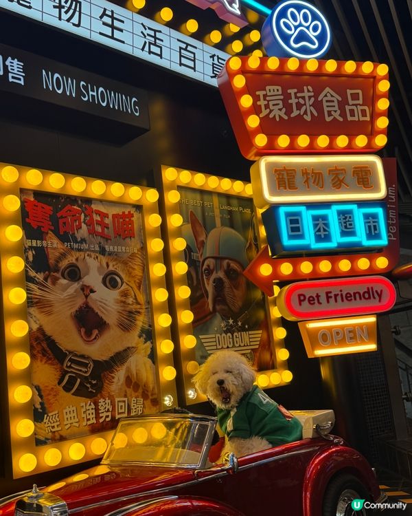 分享打卡好去處