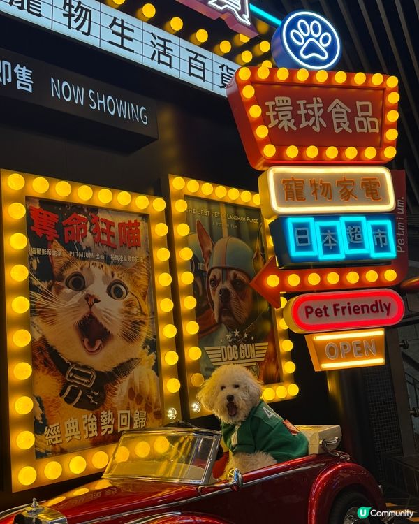 分享打卡好去處