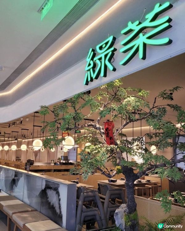  ✨深圳必食新派抵食浙菜 💥價錢平過香港一半💥