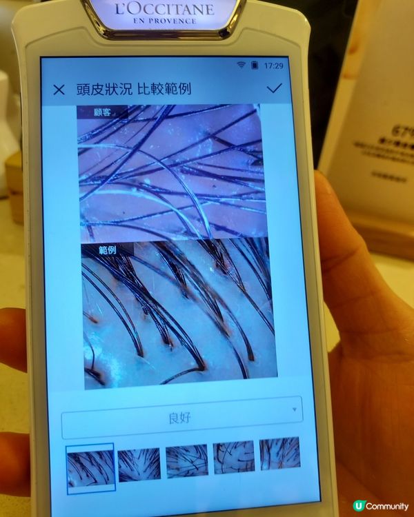 loccitane 頭皮體驗