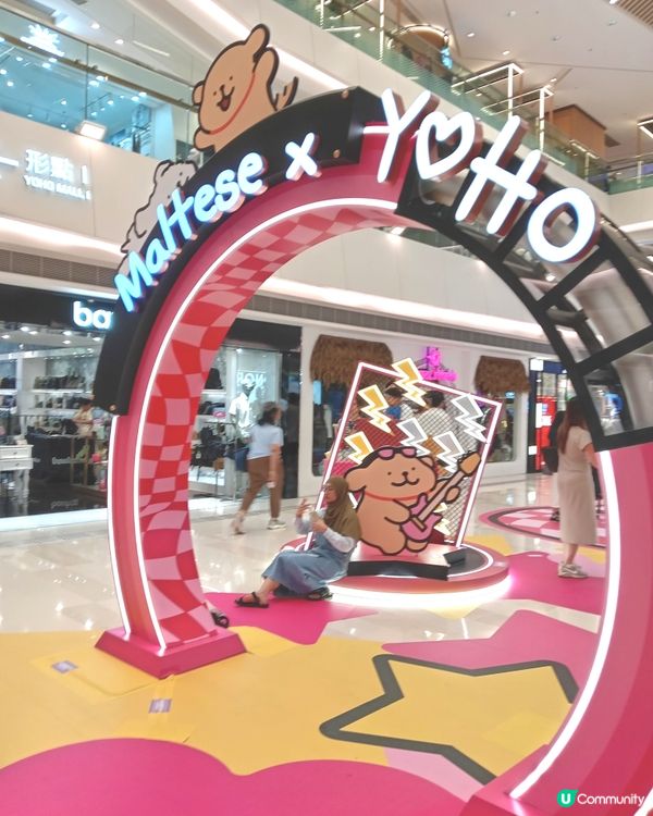 Mahee x Yoho 商場寵物風佈景