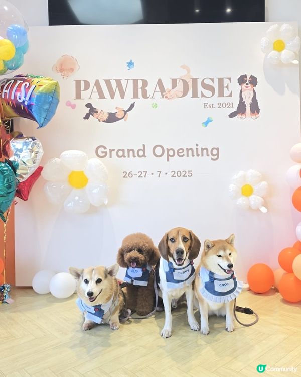 尖咀旗艦店開幕🎉！毛孩迪士尼樂園等你嚟玩！🐶🏰